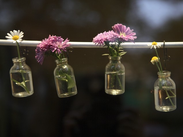 Simple hanging blooms