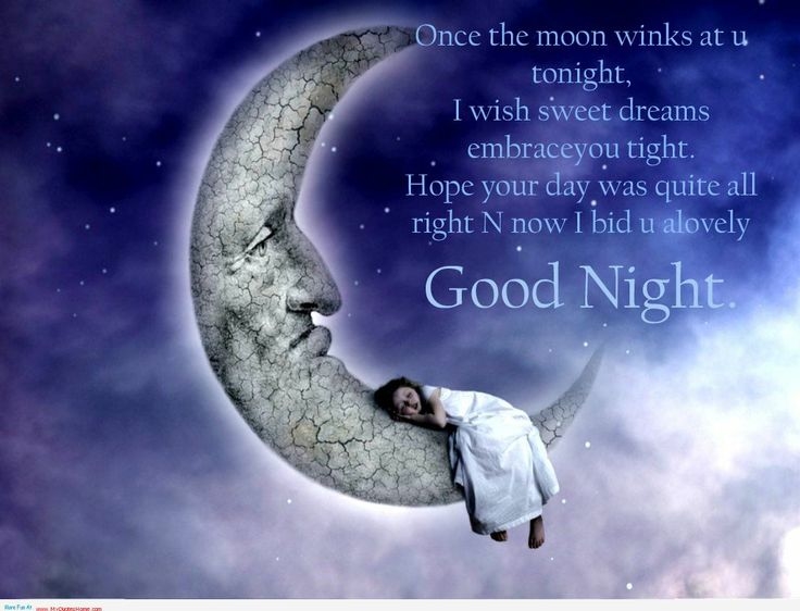 Good Night Good Night