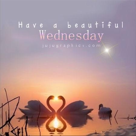 Have a beautiful Wednesday Have a beautiful Wednesday