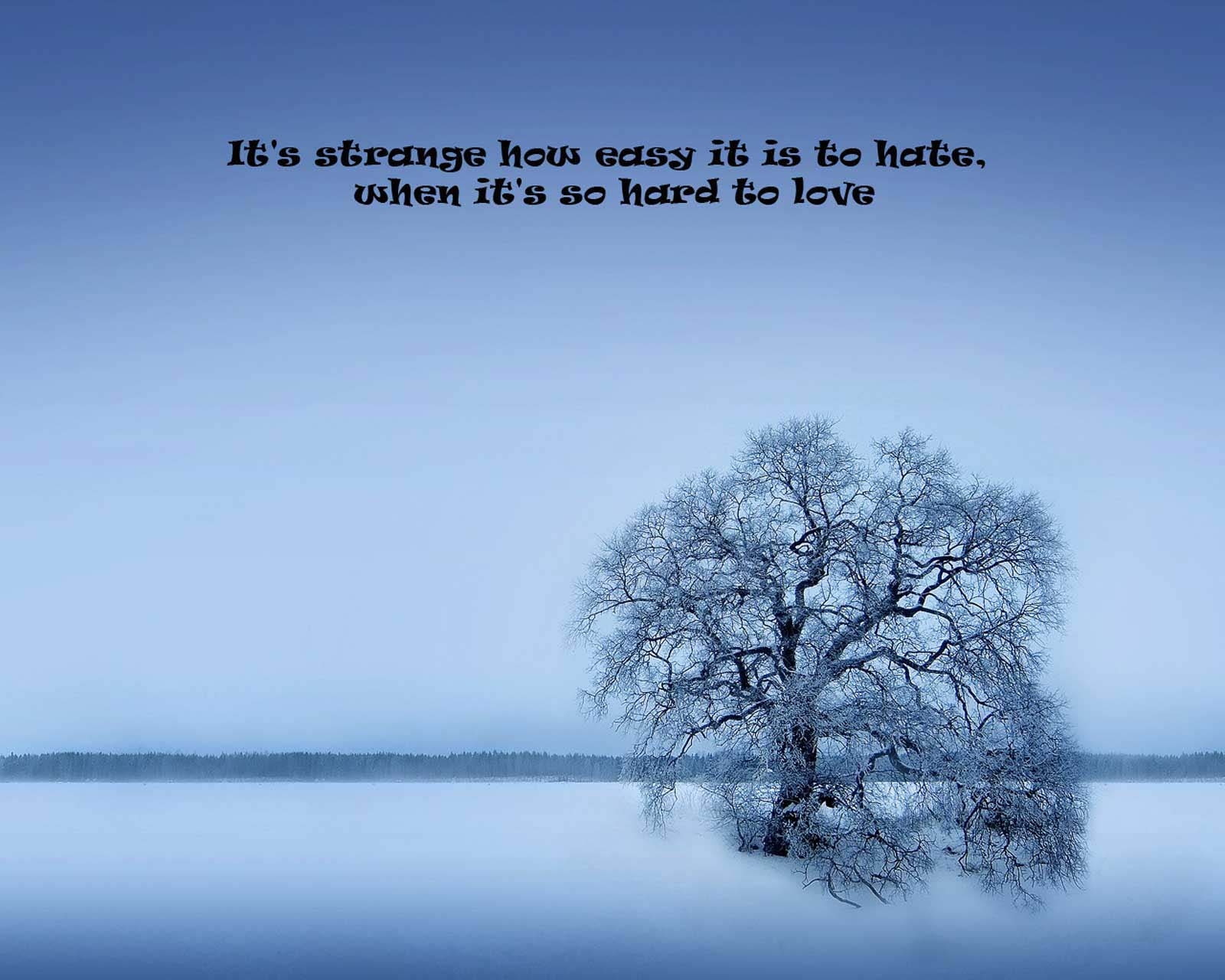 It's strange how easy it is to hate...