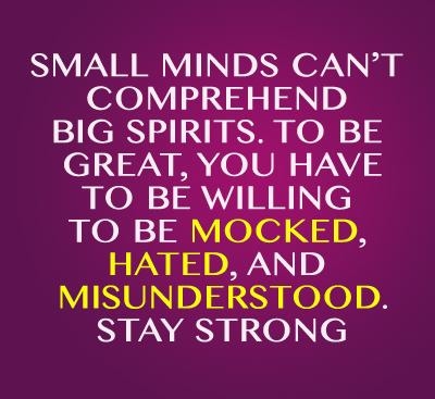 Small minds can't comprehend great spirits... Small minds can't comprehend great spirits...