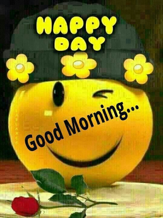 Good Morning