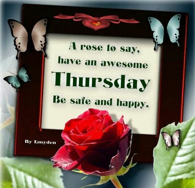 Have an awesome Thursday Have an awesome Thursday