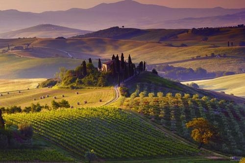 Beautiful Landscape
