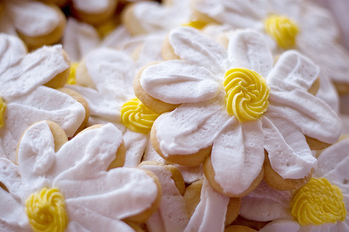 Daisy cookies Daisy cookies