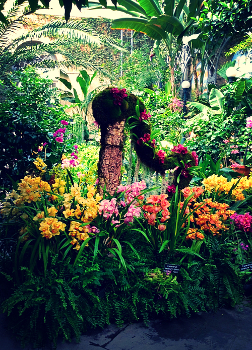 Floral garden meadow  