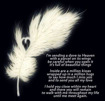 Sending a dove to Heaven Sending a dove to Heaven