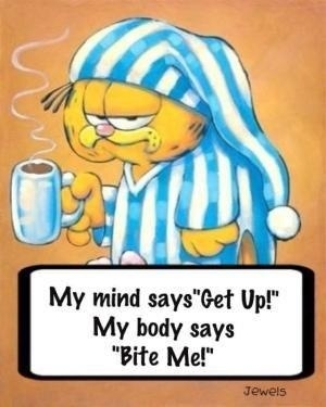 Mind and Body