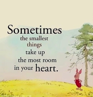 sometimes the smallest things sometimes the smallest things