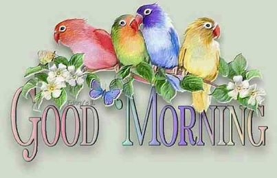 Good Morning Good Morning