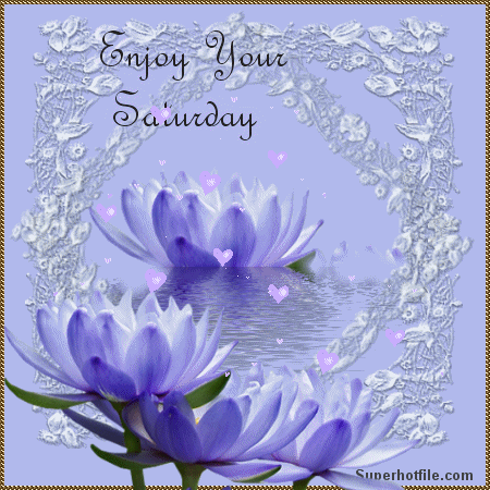 Enjoy your Saturday Enjoy your Saturday