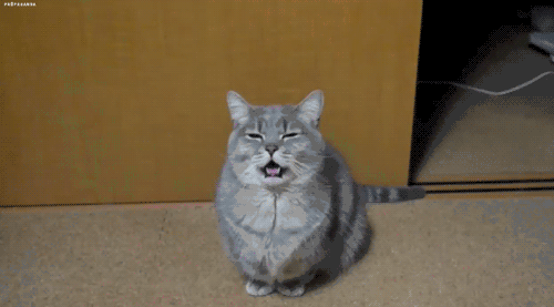 G I F 