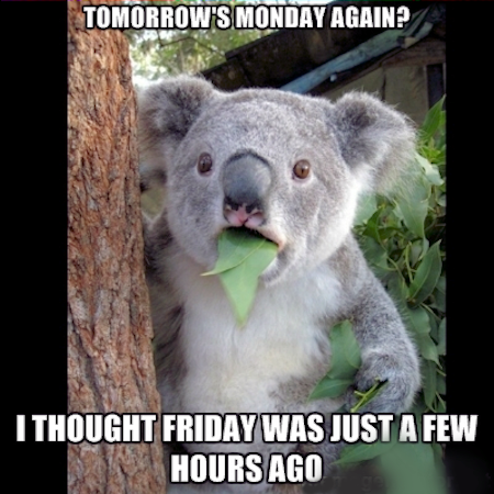 tomorrow's monday again