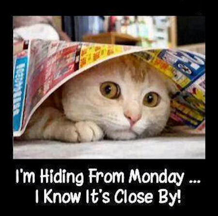 hiding from monday hiding from monday