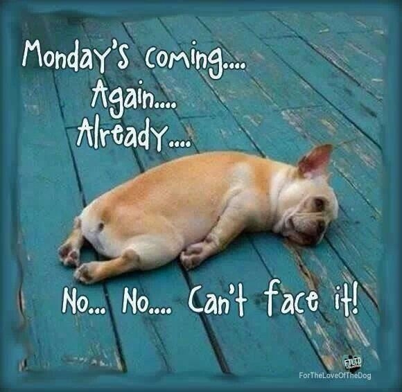 Mondays Coming
