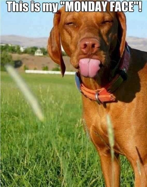 This is my Monday face This is my Monday face