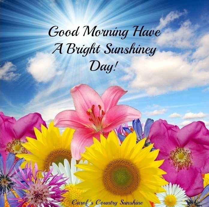 Good Morning Good Morning