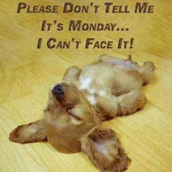 Monday arrives (here's my reaction) Monday arrives (here's my reaction)