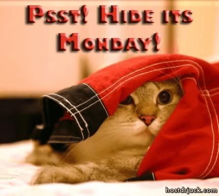 Hide it's Monday Hide it's Monday