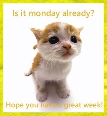 is it Monday? (too cute)