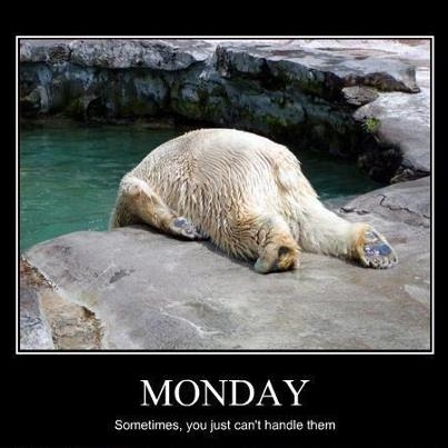 how I feel on Monday's