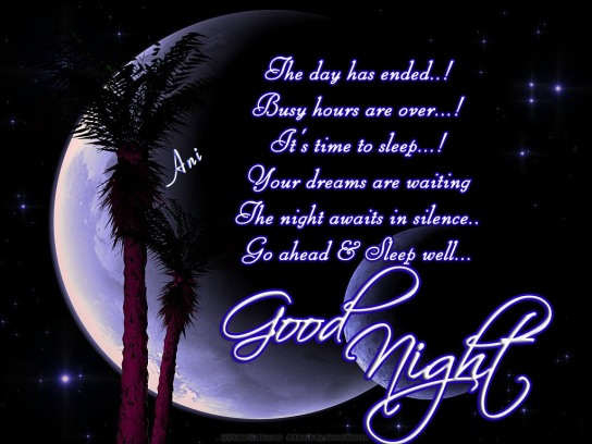 Good Night Good Night