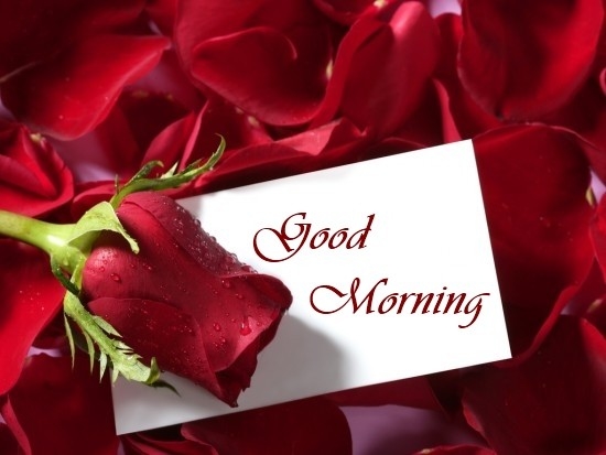 Good Morning