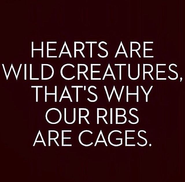 Hearts Are Wild Creatures Hearts Are Wild Creatures