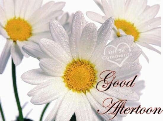Good Afternoon