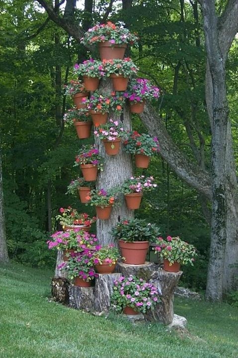 Old Tree into Stump Planter