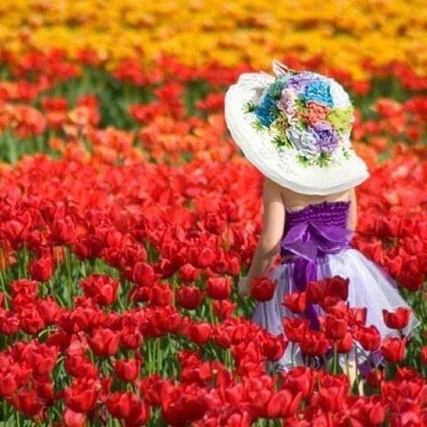 Little Girl in Red Tulips Field Little Girl in Red Tulips Field