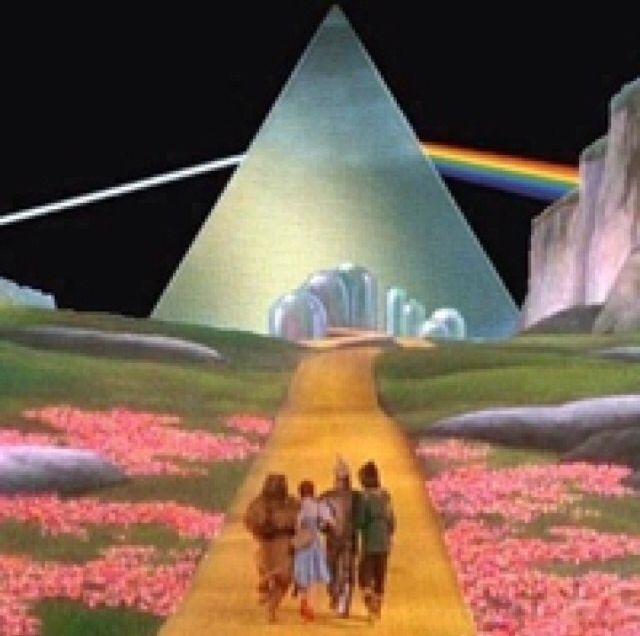 Entering Many Worlds Entering Many Worlds