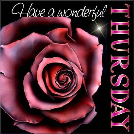 Have a wonderful Thursday Have a wonderful Thursday