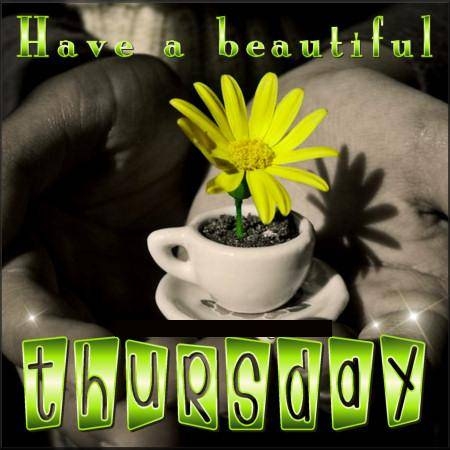 Have a beautiful Thursday