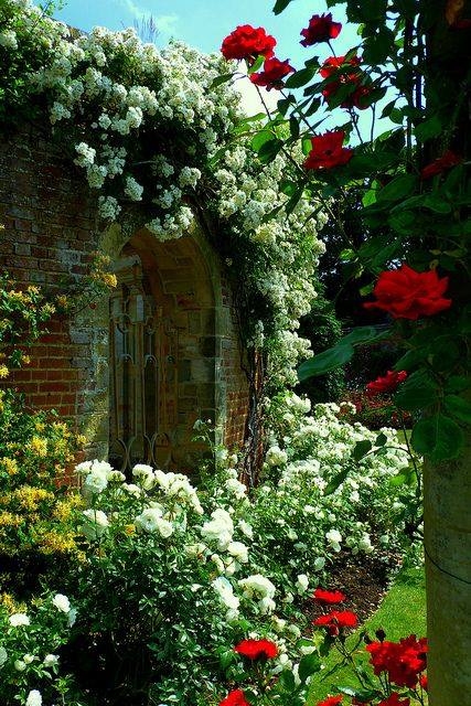 Beautiful Garden Beautiful Garden