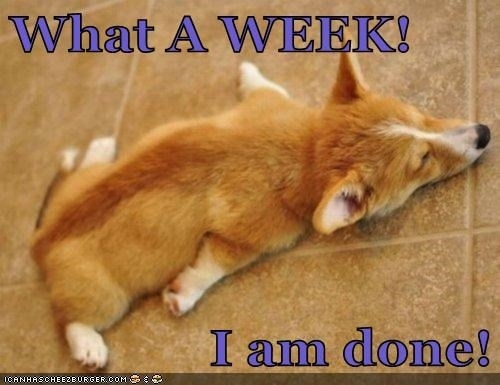 What a week