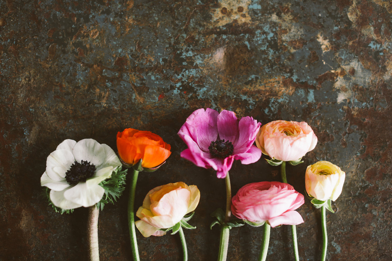 Flowers Flowers