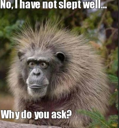No I have no slept No I have no slept
