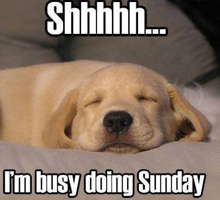 Shh I'm busy doing Sunday Shh I'm busy doing Sunday
