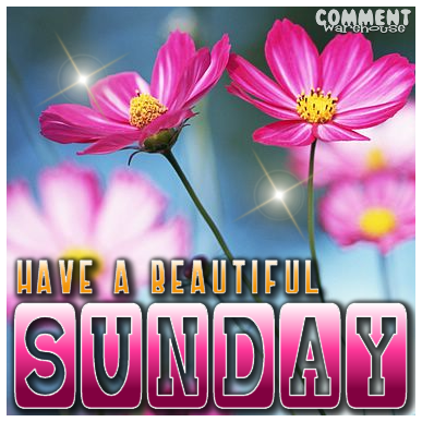 Have a beautiful Sunday Have a beautiful Sunday