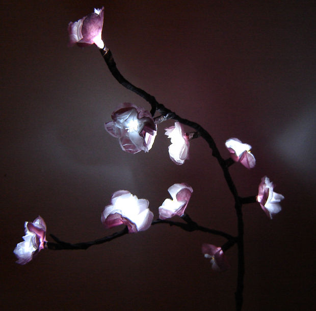 Cherry Blossom Lights