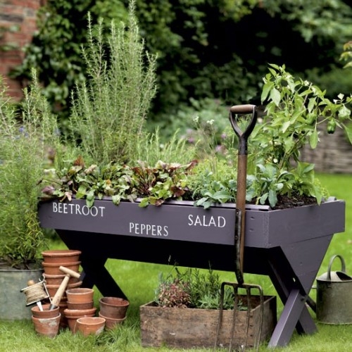 Bench Turned into Herb Garden