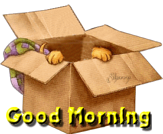 Good Morning