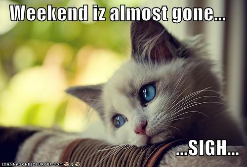 Weekend is almost gone Weekend is almost gone