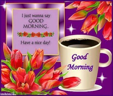 Good Morning