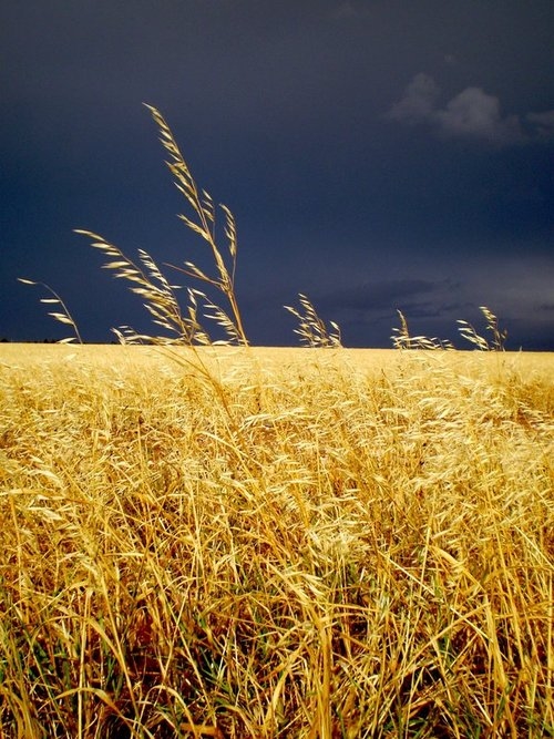 A storm is coming A storm is coming