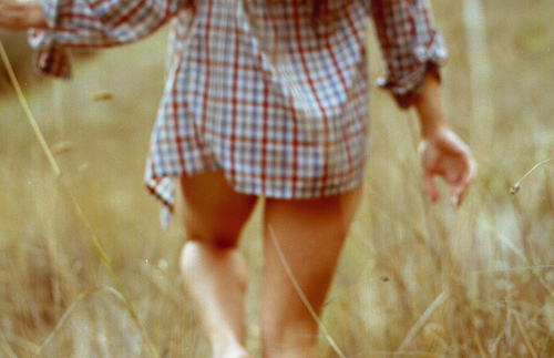 Through the grass Through the grass