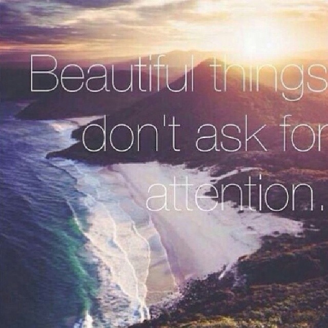 Beautiful things dont ask for attention Beautiful things dont ask for attention