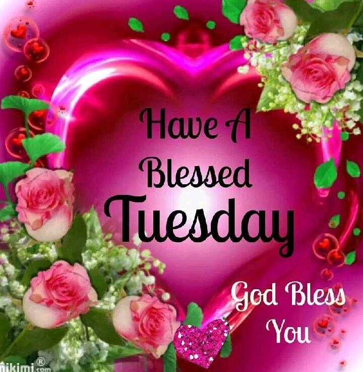 have a blessed tuesday