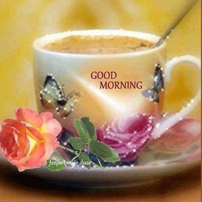 Good Morning Good Morning